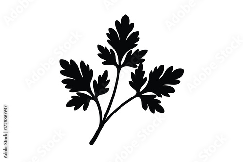 parsley silhouette icon. Vector clipart black illustration design