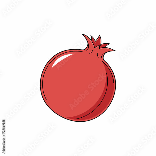 pomegranate vector illustration