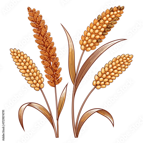 Showcasing Create Bold Stroke Millet Grains Whi Vibrant High-Quality Stock Image