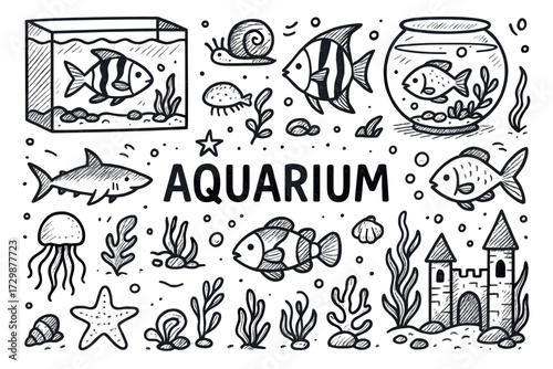 Aquarium illustrations with fish, jellyfish, coral, and sea plants