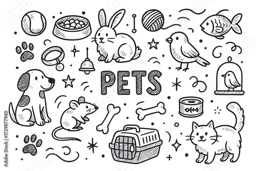 Hand-drawn pet doodles: cat, dog, rabbit, bird, fish, mouse, and accessories