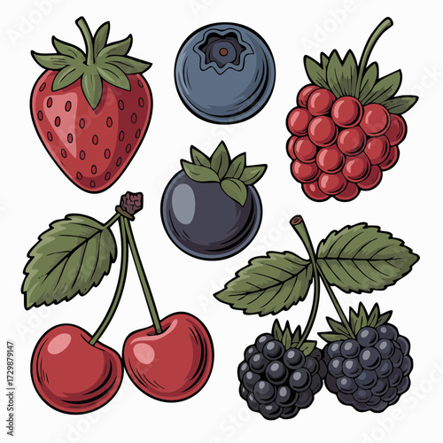 A simple collection set of berries (Strawberry, cranberry, blueberry, blackberry, and currant) with colored vintage design. 