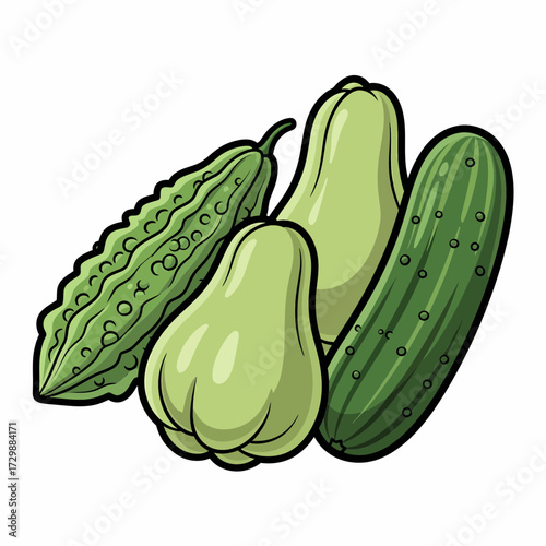 Cartoonish Still Life of Bitter Melon Chayote Squash and Cucumber with Bold Outlines.