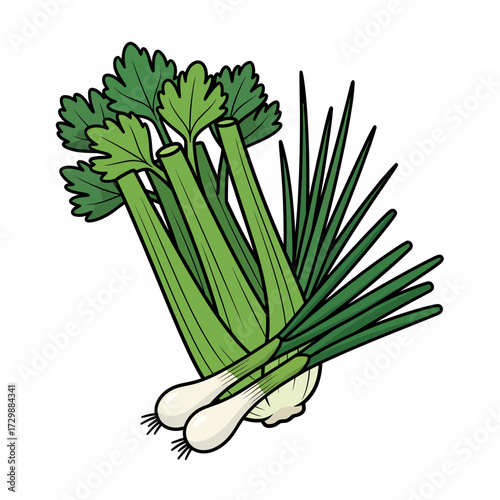 Freshly Gathered Celery Scallions and Spring Onions Cartoon Illustration.