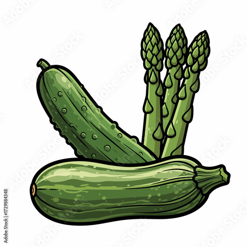 Fresh Green Vegetables Cucumber Zucchini and Asparagus Cartoon Illustration.