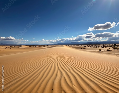 Serene Desert Landscape with Sand Ripples and Sky