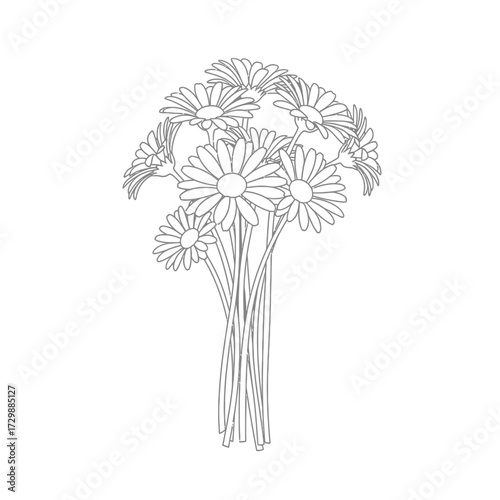 A bouquet of daisies is depicted in a simple, elegant line drawing on a white background.