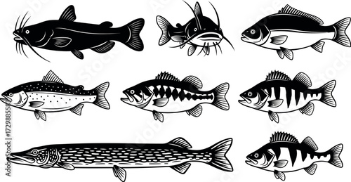 Vector art of set of diverse fish species in black and white illustration style