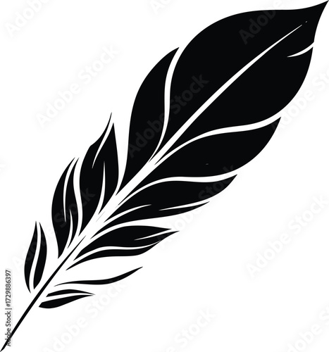 flowing feather pattern line art on transparent background