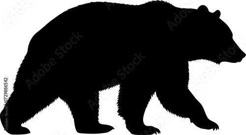 Vector art of silhouette of a walking bear