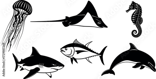 Vector art of assortment of marine creatures including jellyfish, stingray, seahorse, shark, tuna, and dolphin