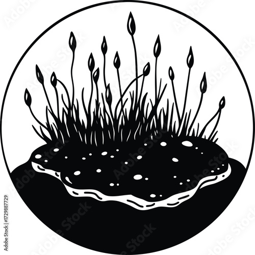 fresh moss on wet rocks line art on transparent background