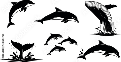 Vector art of set of black silhouette illustrations of dolphins and a whale
