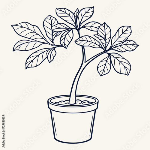 A simple line drawing of a potted plant with lush green leaves and a sturdy stem presented on a plain background symbolizing growth and nature
