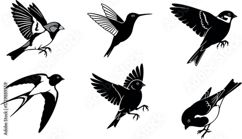 Vector art of set of bird silhouettes in flight and perched, including swallows and sparrows