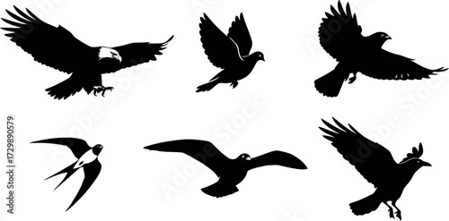 Vector art of collection of bird silhouettes in flight, including eagle, dove, crow, swallow, and seagull