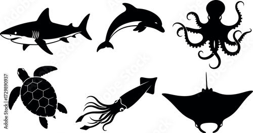 Vector art of silhouettes of various marine animals including shark, dolphin, octopus, turtle, squid, and ray