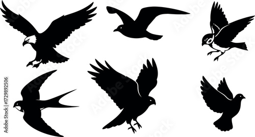 Vector art of assortment of bird silhouettes in flight