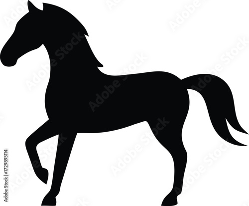 horse silhouette isolated on black and white