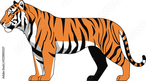 A majestic Tiger illustration standing firmly in a classic, alert side profile. 