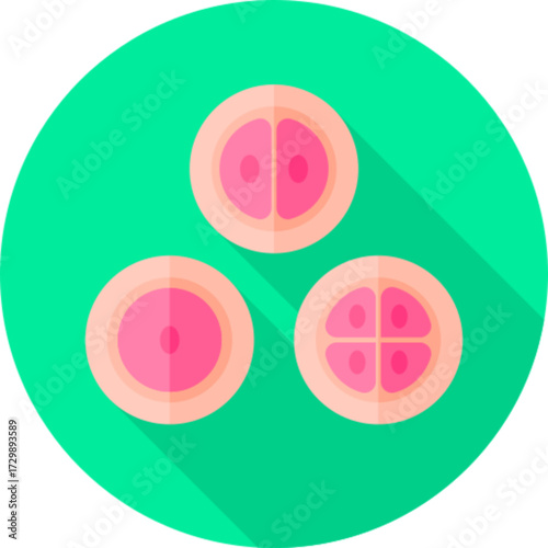 Cells Biology Icon