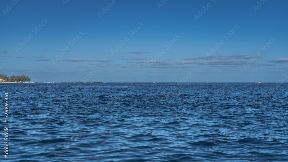 Obraz premium The endless blue ocean. Ripples on the surface. The backs and dorsal fins of dolphins are visible above the water. A boat on the horizon. The coast of the island is far away. Azure sky, clouds