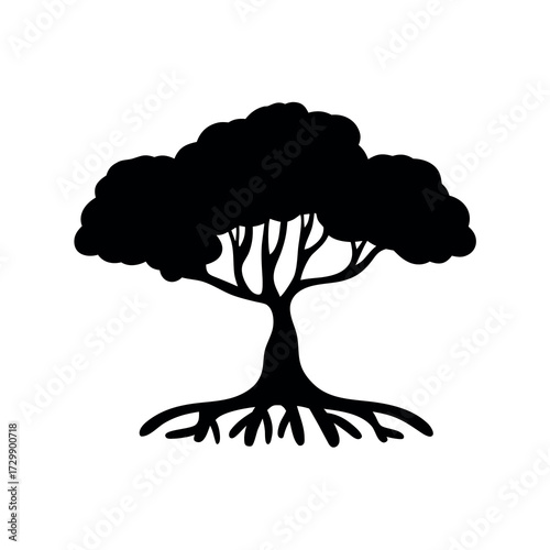 Silhouette of a mature tree with exposed roots symbolizing growth and nature