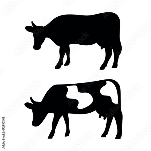 Two silhouetted cows one solid black and one spotted standing against a white background