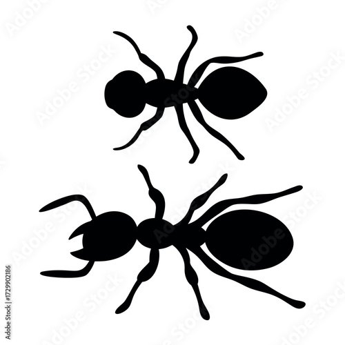 Two silhouetted ants displaying their distinct body segments and antennae against a white background