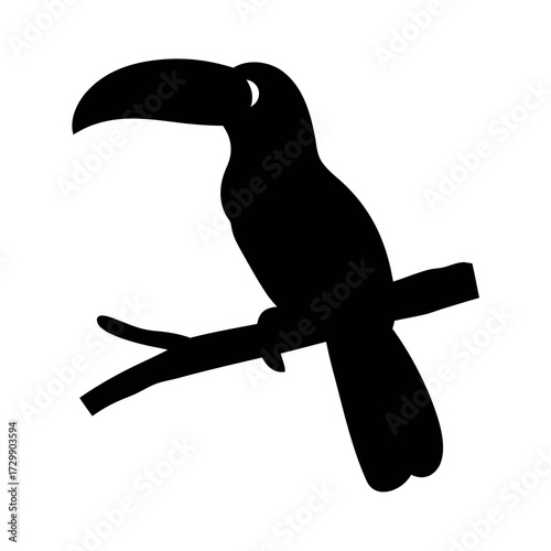 Silhouette of a toucan perched on a branch with its distinctive large beak visible