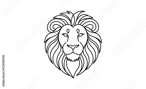 A striking black and white line art illustration of a majestic lion s head featuring a detailed mane and a powerful regal expression perfect for logos and emblems