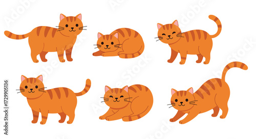 Adorable Orange Tabby Cat Poses Collection.
