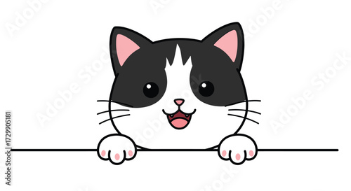 Adorable Tuxedo Cat Peeking Over a Line with Happy Expression.