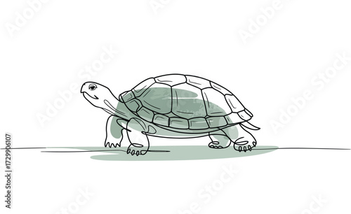 A charming hand drawn sketch of a tortoise with a green watercolor wash on its shell walking forward with a determined expression on a white background