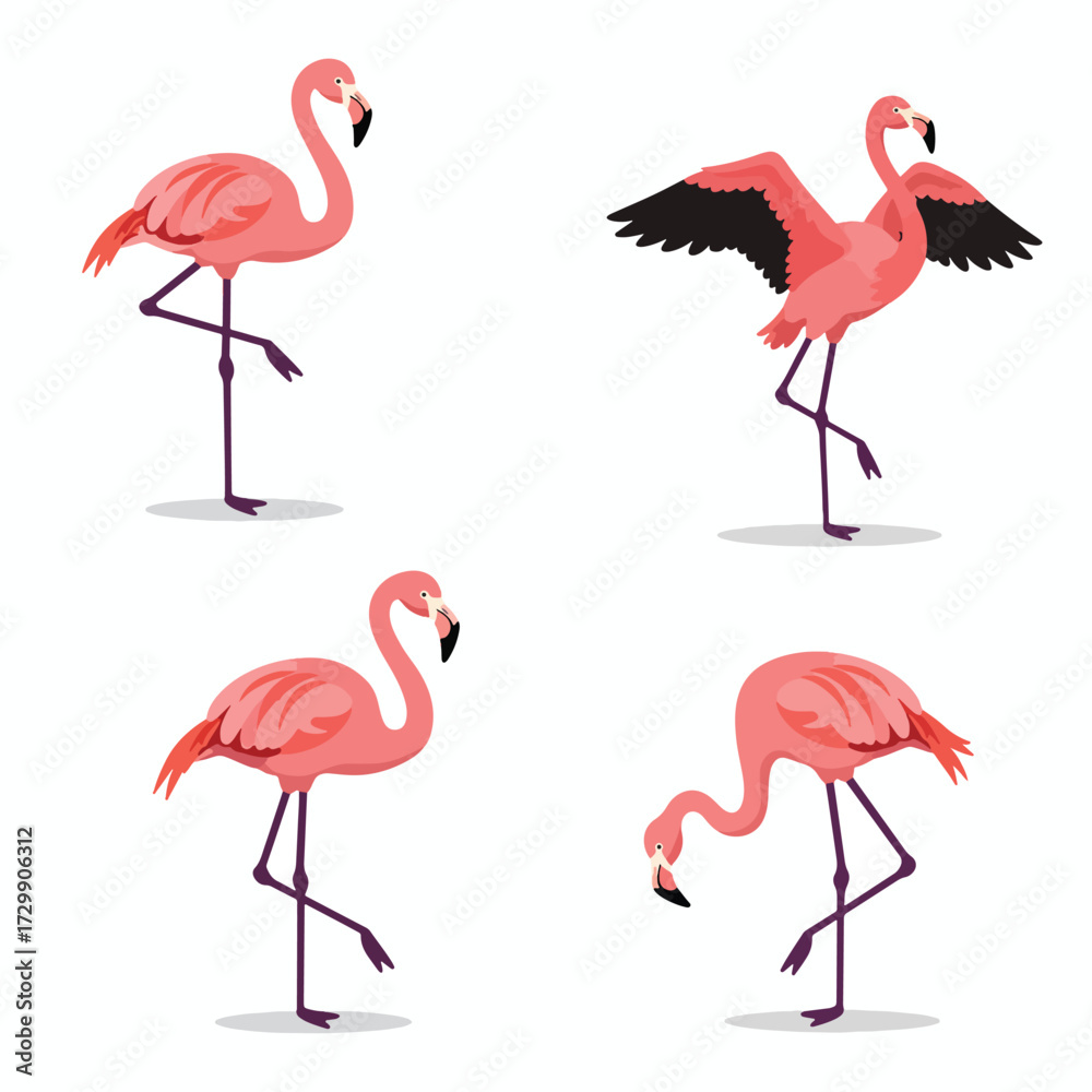 Fototapeta premium Four Pink Flamingos in Various Poses Vector Illustration.
