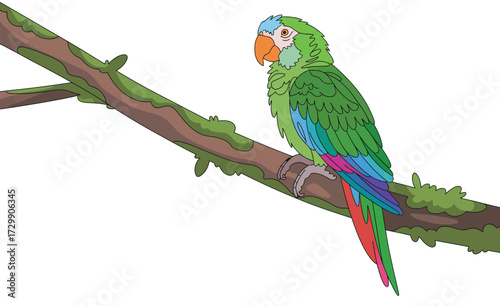 A vibrant green parrot with blue and red accents perched on a mossy tree branch against a clean white background showcasing its colorful plumage and tropical beauty