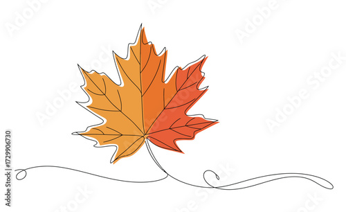 A vibrant single maple leaf in autumn colors of orange and red depicted with a delicate continuous line drawing and a whimsical swirling stem on a clean white background