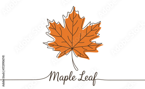 A vibrant hand drawn illustration of a single orange maple leaf with delicate veins and a sketchy outline set against a clean white background with the words maple leaf elegantly scripted below