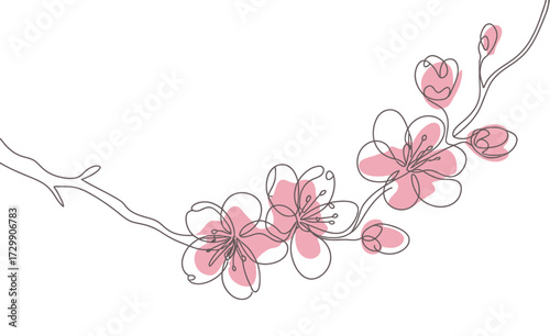 Delicate watercolor illustration of a blooming cherry blossom branch with soft pink petals and thin black outlines on a clean white background evoking spring and nature s beauty