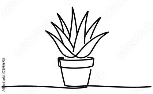 Minimalist single line drawing of a potted succulent plant with sharp pointed leaves in a simple pot on a white background with a continuous line base
