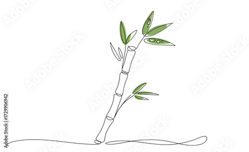 Minimalist line art illustration of a single bamboo stalk with green leaves reaching upwards against a clean white background evoking simplicity and natural elegance