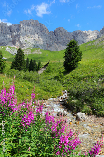 flowers called epilobium hirsutum grows on the banks of a mountain stream