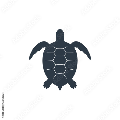A top-down view of a sea turtle silhouette, showing the detailed pattern on its shell.