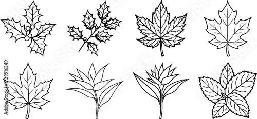 Leaf icons set. Green leaves vector collection. Ecology, environment, and nature symbol. Bio, organic, and vegan sign. Plant sprout logo element for eco friendly products.
