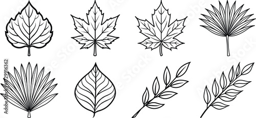 Leaf icons set. Green leaves vector collection. Ecology, environment, and nature symbol. Bio, organic, and vegan sign. Plant sprout logo element for eco friendly products.
