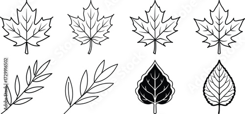 Leaf icons set. Green leaves vector collection. Ecology, environment, and nature symbol. Bio, organic, and vegan sign. Plant sprout logo element for eco friendly products.
