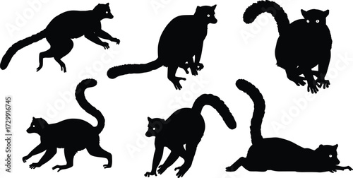 Lemur silhouettes, wildlife illustration, exotic animals, long tails, Madagascar primates, animal poses, nature art, black shapes, jungle creatures, biodiversity design