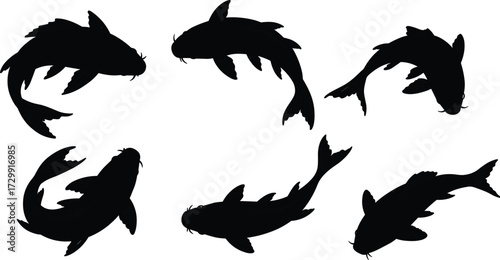 Koi fish silhouettes, black koi illustration, swimming koi art, Japanese carp design, circular koi pattern, ornamental fish vector, Asian symbolism