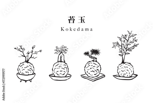 Kokedama and Bonsai Line Art Vector Set / Minimalist Japanese Moss Ball and Plant Outline Icons