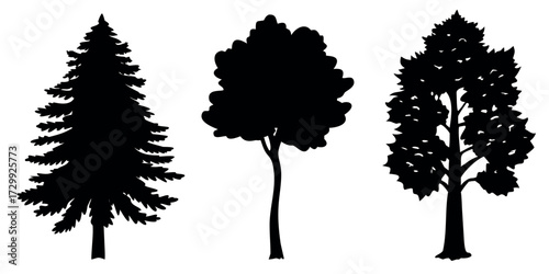 Vector Silhouette Set of Trees Pine Oak and Palm Simple Black Shapes
